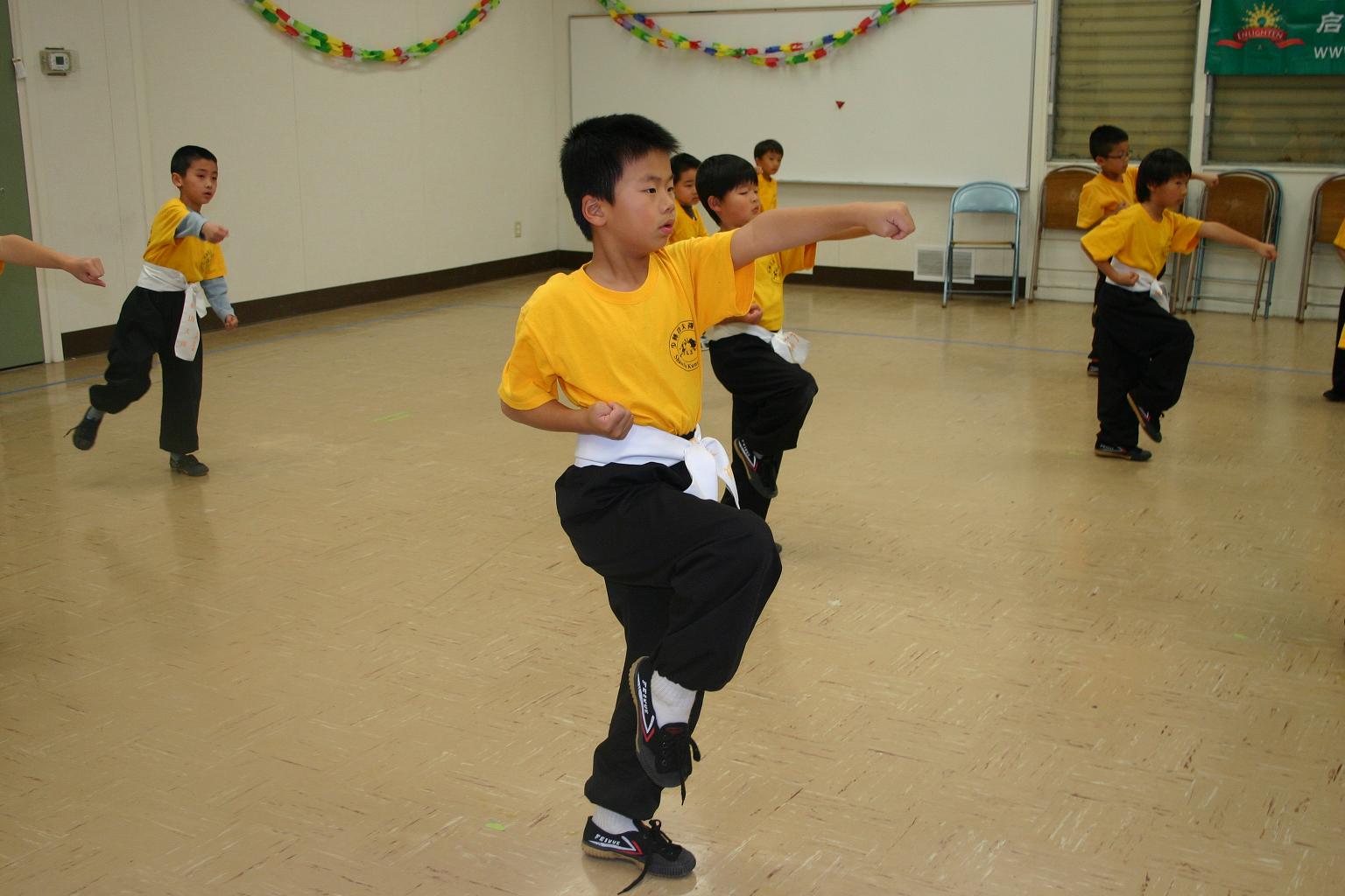 Kung Fu - Enlighten Enrichment School, After School Program, San Jose